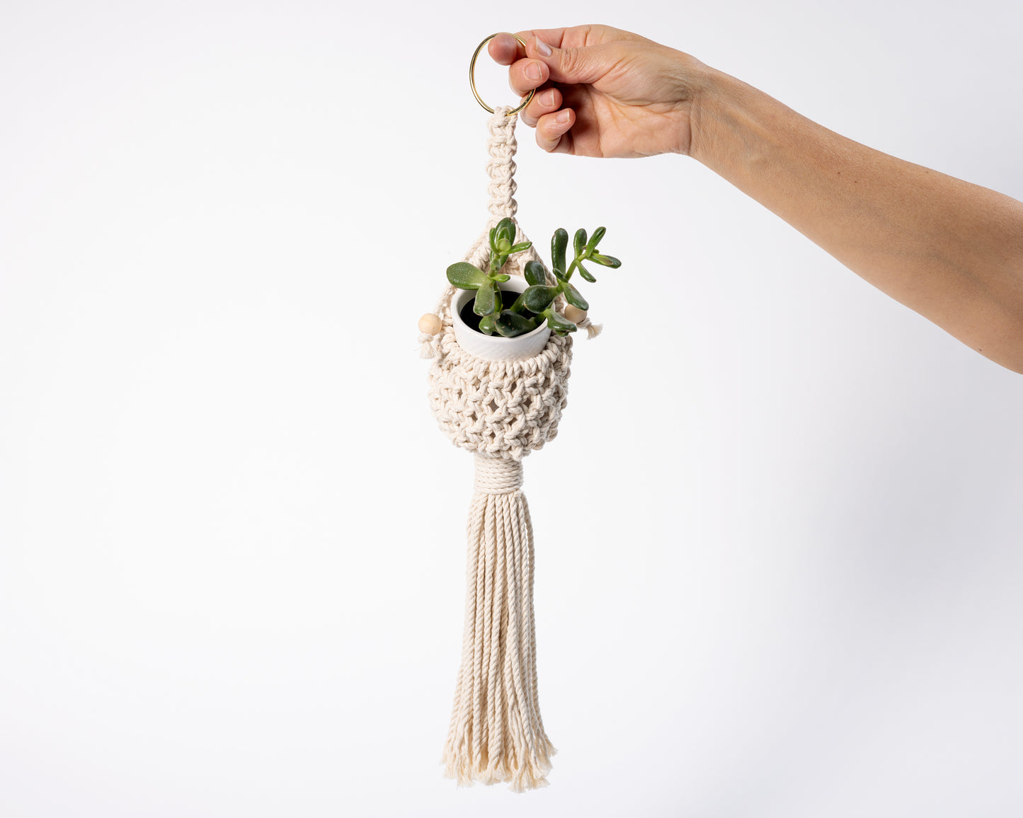 Perfect Plant Pod Holder